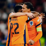 Nike Meeste EURO 2024 Hollandi Koduf&auml;nnis&auml;rk L