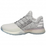 Adidas Harden Vol. 1 J 'Hall Valge' BY3480 36