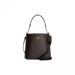 Coach Mollie seeria klassikaline kunstnahast &auml;mbrikujuline kott naiste k&auml;ekotid pruun CA582-IMAA8 Basic Set (Bag+Dust Bag)