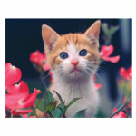 DIY teemantmaali haru maastik Ristpistes udu teemantmosaiikmaal puu kunstid 20X30CM