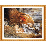Teemanttikandid Kassimustrid Rhinestones pildid Country Style Home Decor N&auml;put&ouml;&ouml; Kunst 20X30CM