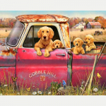 DIY teemantmaal  Koerad ja autod  Teemanttikandid Loomad 3D t&auml;is&uuml;mmargune teemantristpiste 20X30CM