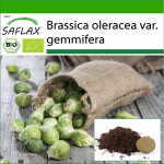 SAFLAX &ndash; Orgaaniline &ndash; Rooskapsas &ndash; Groninger &ndash; 30 seemet &ndash; Potisubstraadiga paremaks kasvatamiseks &ndash; Brassica oleracea