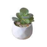 Kunstlikud sukulentsed taimed, bonsai lille simulatsioon koos potimaastikuga koduse peolaua kaunistuste jaoks