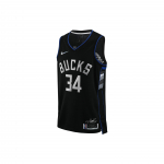 Nike NBA Milwaukee Bucks Giannis Antetokounmpo MVP S&auml;rk Must Meeste Streetwear DH8058-010 S