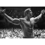 Vaip Suur Kulturismiposter Arnold Schwarzeneggeriga 150X200CM
