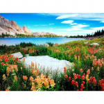 T&auml;isringi puur Teemanttikandid Roheline maastik 5D DIY Teemantmaal Ristpistes Rhinestone 20X30CM