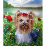 Ruut/&uuml;mmargune teemant 5D DIY Teemantmaal  lemmikkoer  Tikand Ristpistes Teemantmosaiik Full Square (20X30CM)