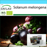SAFLAX - Kinkekomplekt - Orgaaniline - Baklažaan - Black Beauty - 25 seemet - Koos kinkekarbi, kaardi, etiketi ja potisubstraadiga - Solanum melongena