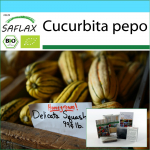 SAFLAX - Kinkekomplekt - Orgaaniline - Suvik&otilde;rvits - Delicata - 6 seemet - Koos kinkekarbi, kaardi, etiketi ja potisubstraadiga - Cucurbita pepo