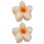 2 tk lillelised juukseklambrid tugeva k&uuml;&uuml;nisega gradientkontrastv&auml;rviga Plumeria libisemisvastane juuste fikseerimine kaunistus, sile pind naiste juuste aksessuaar