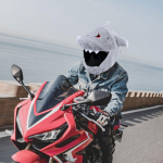 Mootorikiivri kate Varrukas Multikad Dekoratsioonitarvikud Karvased kaasaskantavad pl&uuml;&uuml;sist loomakatted