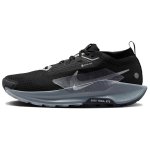 Nike Pegasus Trail 5 GORE-TEX Must H&otilde;behall Meeste Tossud Lahedalt Hall Antratsiit FQ0908-001 43 black