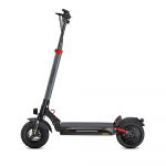 ENGWE Y600S 10 Folding E-Scooter 500W & 48V18.2Ah Long Range E-Scooter, Disc Brakes & Front Shock Absorption for Daily Commuter & Outdoor Off-Road Y600S: 600W 48V18.2Ah must/hall