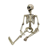 165CM Inimeskeletri Kaunistus Halloweeni Peo Rekvisiit Kaunistus beige