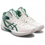 Asics GELHOOP V16 keskmise k&otilde;rgusega korvpallijalatsid Meeste Valge Roheline - 1063A102-101 EU 41.5 roheline/valge