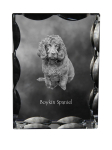 Boykin Spaniel, Swamp Poodle - crystal with a picture of a dog, glass statuette with a picture, unique frame with a picture from Art-Dog brand puhas