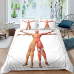 Inimese anatoomia Kuningas Quen Pehme tekikott Keha struktuur Organi voodipesu komplekt Meditsiiniline haridus Rakkude bioloogia Pehme pol&uuml;ester Mugav tekikott 135*200cm Eu-Single