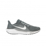 Nike Air Zoom Pegasus 41 jahehall unisex tossud hunt-hall puhas-plaatina valge FD2722-009 45