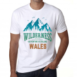 Meeste vintage T-s&auml;rk Graafiline T-s&auml;rk Wilderness Wales White XS valge