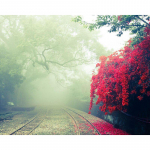 Decor isetehtud teemantmaal Ristpistes udune maastik t&auml;isring puur Teemanttikandid 20X30CM