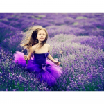 5D DIY teemantmaal Lavendel ja t&uuml;drukute &uuml;mmargune pilt ristpistes kivikivist ruumi kaunistus 20X30CM