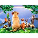 5D Teemantmaal T&auml;isteemantv&auml;rviga &uuml;mmargune/ruudukujuline vikerkaar maastik Teemanttikandid Loom Kass Koer J&auml;nes Pilt Rhinestone Mosaiic Seinakunst Full Round 20X30CM