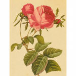 Uus 5D DIY teemantmaali n&auml;idis Lillede teemanttikandid Ristpistes t&auml;is&uuml;mmargune puur Kodukaunistused K&auml;sitsi kunst kingitus Full Round 15x20CM