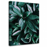 L&otilde;uendiprint Jungle Plants Nature 40x60 roheline