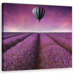 L&otilde;uenditr&uuml;kk Lavendel Field Nature 30x30 lilla