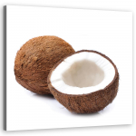 L&otilde;uendiprint Fruits Coconut 30x30 pruun