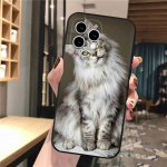 Telefoni&uuml;mbris Iphone 14 Pro Max 13 12 11 Pro Max Xs Xr X 12mini 14 Plus Se Maine Coon Cat Case Funda jaoks iphone XR