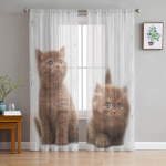 Animal Cat Love L&auml;bipaistvad kardinad elutuppa T&uuml;llkardinad Magamistoa K&ouml;&ouml;giaknale Voile kardinad 135W x 244H(cm)