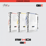 STRAY KIDS &ndash; Vol.1 Go Saeng Standard Edition Random ver.