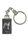 Basenji, African bush dog, Congo dog - Crystal key ring with dog photo, illuminated key ring, unique gift by Art-Dog brand puhas