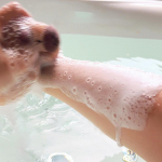 Kapibara vannik&auml;sna pall armsad koomiksiloomad beebidu&scaron;i harjad kehapuhastushari mullk&auml;snad vannitoatarvikud