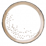 Ookeanitrumm Naturaalne V&auml;rv L&auml;bipaistev Vaher Laine Helmidega Trummid Muusikariist L&ouml;&ouml;kpillid