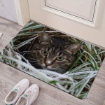 Mitmek&uuml;lgne kassikujuline murukujundusega vaip - masinpestav, libisemiskindla PVC-alusega, sobib ideaalselt elutuppa, magamistuppa, k&ouml;&ouml;ki ja esikusse 40*60cm