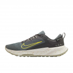 Nike Juniper Trail 2 GTX V2 Keskmine Tuhk Valgustus Meeste Tossud Hall HM9734-200 39
