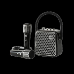 Divoom SongBird-SE KTV k&otilde;lar kahe mikrofoniga CN pistikuga (adapter kaasas)