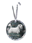 Sealyham Terrier, Welsh Border Terrier - crystal bauble with a photo, dog photo in crystal, personalized Christmas tree ornament by Art-Dog brand puhas
