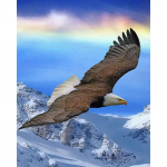 T&auml;ielik &uuml;mmargune 5D teemantmaal, loodusmaastik, teemantmosaiik, ristpistes, talvine kodukaunistuse kingitus 15x20CM