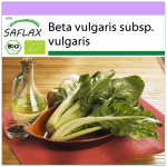 SAFLAX &ndash; orgaaniline &ndash; veitsi mangold &ndash; 150 seemet &ndash; Beta vulgaris