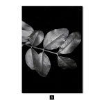 Mustvalged taimelehed Tekstuur Seinakunst Plakat Moodne naine Trepid Tsitaadid Pilt L&otilde;uenditr&uuml;kk Maalimine Elutoa kaunistus A4 21x30cm No Frame