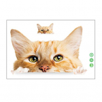 Kleebised Erksad Funny Cat veekindlad Lihtsalt eemaldatavad vannitoakaunistuskleebised Cat