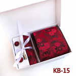 Cozy Up 5-osaline komplekt Paisley meeste lips, sealhulgas lips, kandiline sall, manseti lipsu klambriga kinkekarp