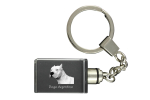 Dogo Argentino - Crystal key ring with dog photo, illuminated key ring, unique gift by Art-Dog brand