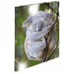 Herma Kummiga L&auml;ikiv PP Kaust A4 Loomad (Koala)