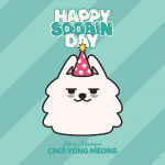 TXT HAPPY SOOBIN DAY CHOI YONG MEUNG Pl&uuml;&uuml;skomplekt