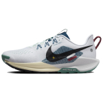 Nike DV3864-100 Meeste spordijalatsid 42 white